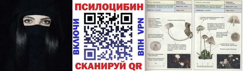 дарнет шоп  Вихоревка  KRAKEN зеркало  Псилоцибиновые грибы GOLDEN TEACHER 
