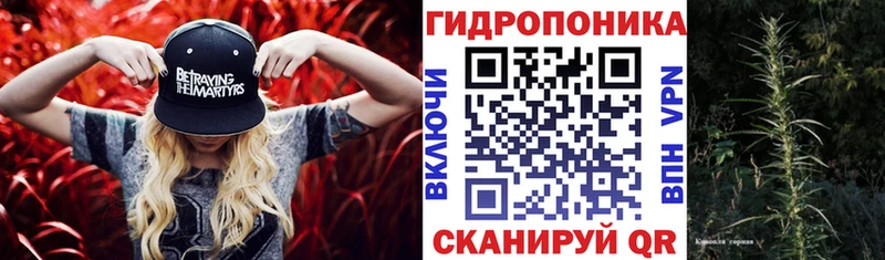 Бошки Шишки White Widow  Вихоревка 